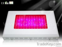 LED grow lighting