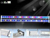 LED Magic grow light