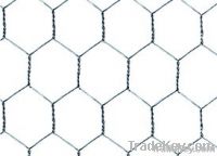 Hexagonal wire netting