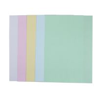 Carbonless Paper Computer Continuous Form Blue