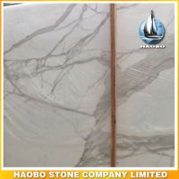 Wholesale Statuario White Marble Slab Factory Direct