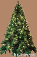 lapm tree
