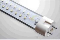 LED T8 TUBE