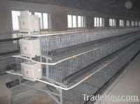 chicken cage