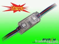 Waterproof 2LEDs Injection Module