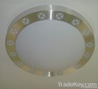 LED Ceiling Light