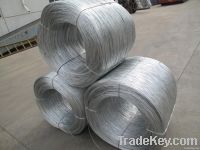 Iron Wire / Low Carbon Steel Wire/ PVC Coated Steel Wire