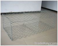 Hexagonal Wire Netting