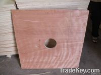 plywood with hole  diametre 6'