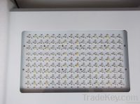 Wholesale new 90w, 120w, 300w, 600w led growing light