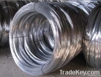 galvanized iron wire(factory)