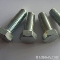 Dongguan high quality hex bolt