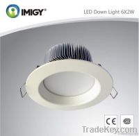 LED Down Light
