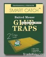 Mouse Glue Traps