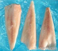 Alaska Pollock Fillet