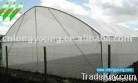 Vegetable Greenhouse