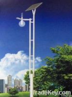 Solar LED Garden Lights (RS-GL002)