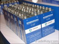 Auto Li Ion Battery