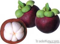 Fresh Mangosteen