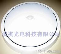 LED Ceiling Light