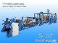 PET Twin Screw Sheet Extruder