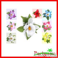 Hawaiian Hair Clip