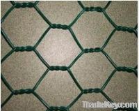 Hexagonal Wire Mesh