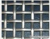 Galvanized Square Wire Mesh