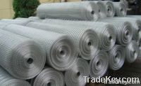 Galvanized Welded Wire Mesh