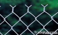 Chain Link Fence