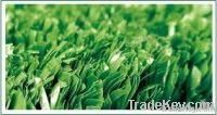 artificial grass