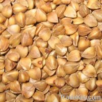 Roasted  Buckwheat Kernel