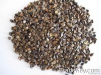 Raw Buckwheat