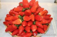 Fresh Fruit - Strawberry