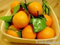 Fresh Fruit - mandarin