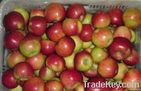 Fresh Jiguan Apple