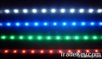 5050 SMD LED Strip