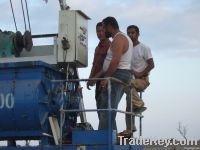 Cement Brick machine