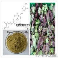 Artichoke Extract