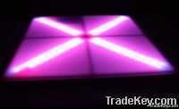 led dance floor