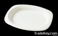 disposable plate