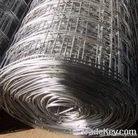 Welded Wire Mesh