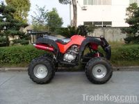 ATV QUAD