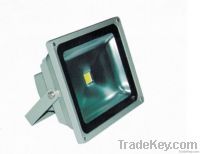 SC-Floodlight /10W