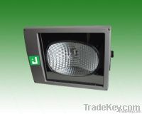 LED Floodlight