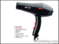 Professional Hair Dryer