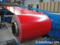 Prepainted steel coil