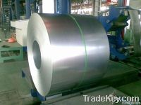 hot-dipped galvanized steel coil