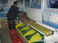 XGJ-XXHS type fruit grading machine(for cherry tomatoes, jujube etc)