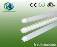 LED T8 TubeD